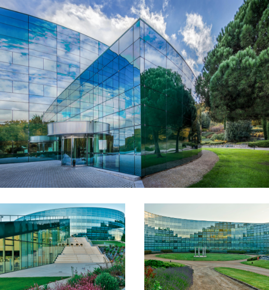 Les Cauquillous レ コキウス