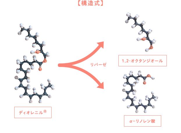 【構造式】