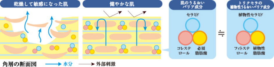 トリクセラシリーズメカニズム図