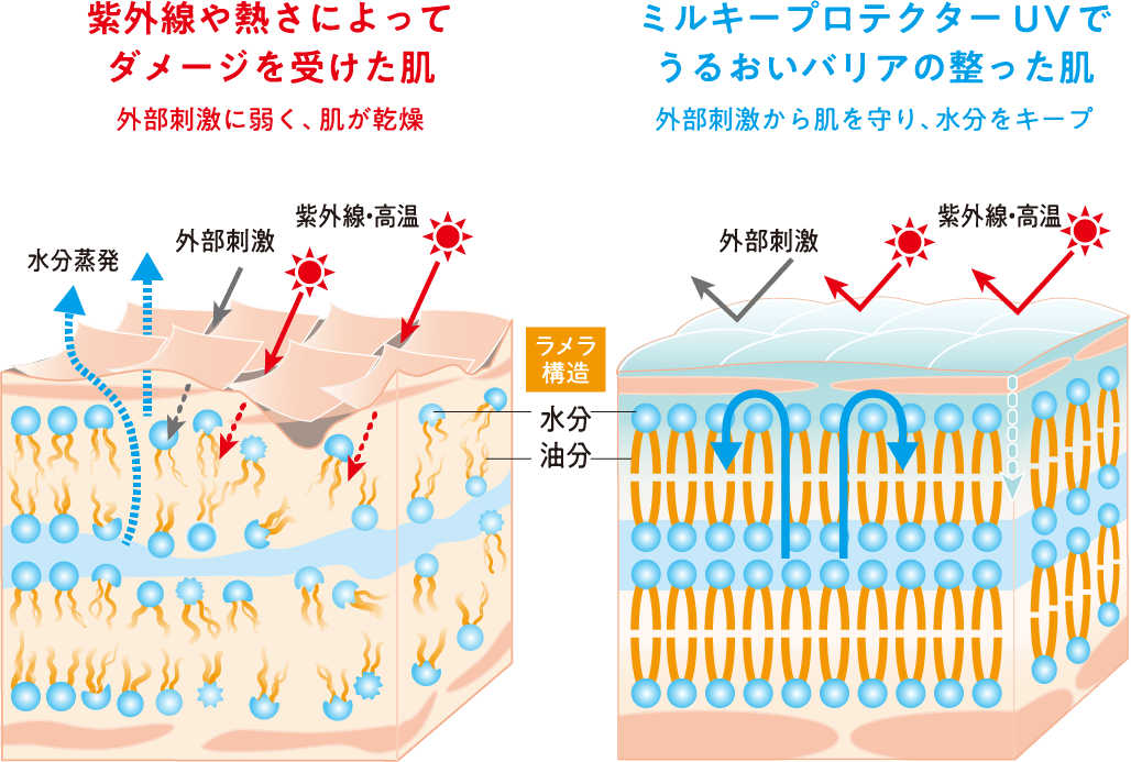 ミルキープロテクターUvメカニズム図