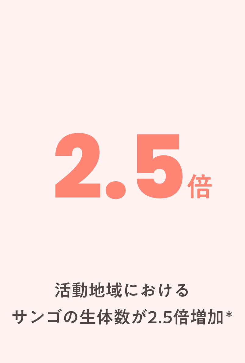 活動地域における サンゴの生体数が2.5倍増加※