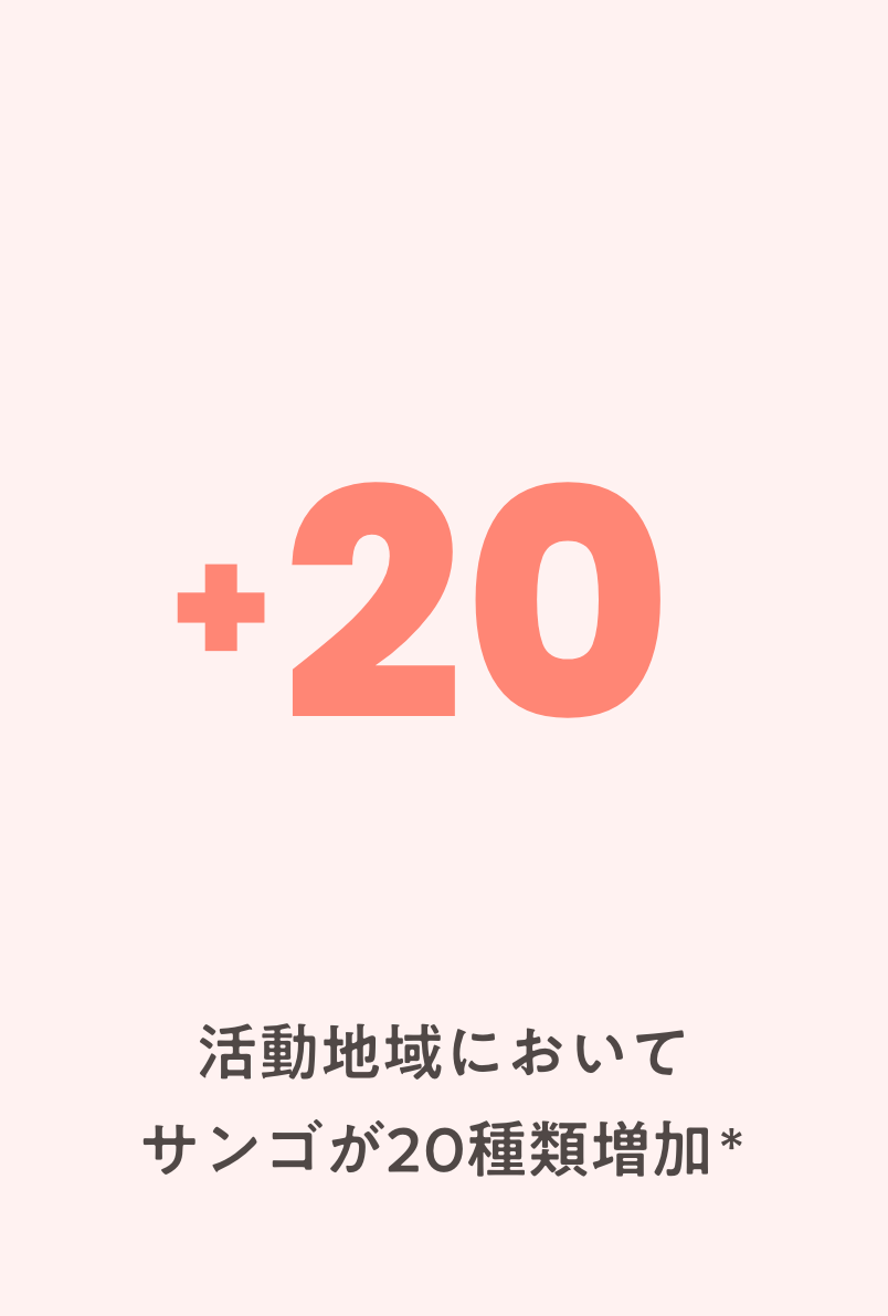 活動地域において サンゴが20種類増加※