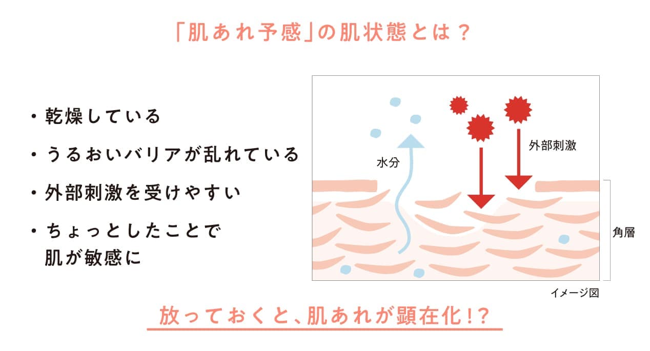 「肌あれ予感」の肌状態とは? ・乾燥している ・うるおいバリアが乱れている ・外部刺激を受けやすい ・ちょっとしたことで肌が敏感に 放っておくと、肌あれが顕在化!?