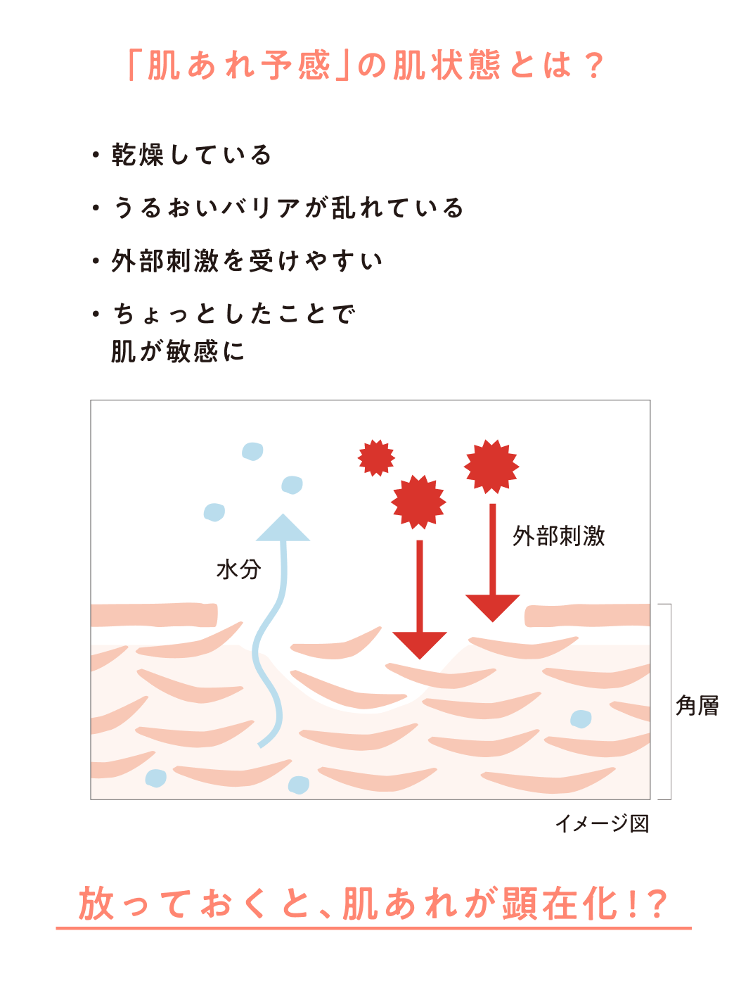 「肌あれ予感」の肌状態とは? ・乾燥している ・うるおいバリアが乱れている ・外部刺激を受けやすい ・ちょっとしたことで肌が敏感に 放っておくと、肌あれが顕在化!?