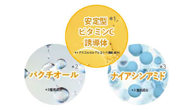 Cセラムトリプル成分