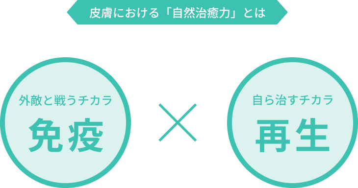 皮膚における「自然治癒力」とは