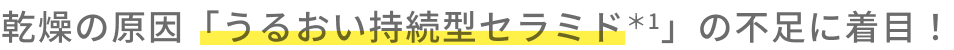乾燥の原因「うるおい持続型セラミド＊1」の不足に着目！