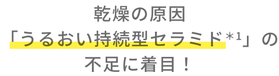 乾燥の原因「うるおい持続型セラミド＊1」の不足に着目！