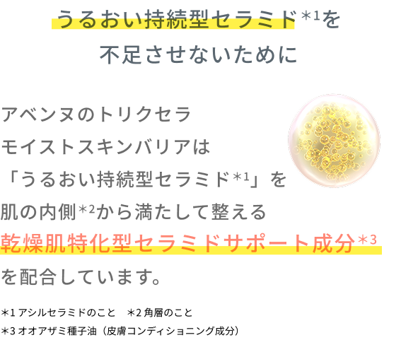 うるおい持続型セラミド＊1を不足させないために