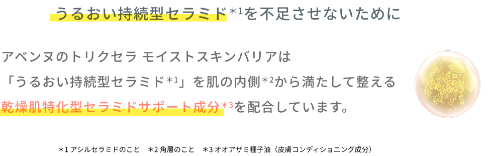 うるおい持続型セラミド＊1を不足させないために